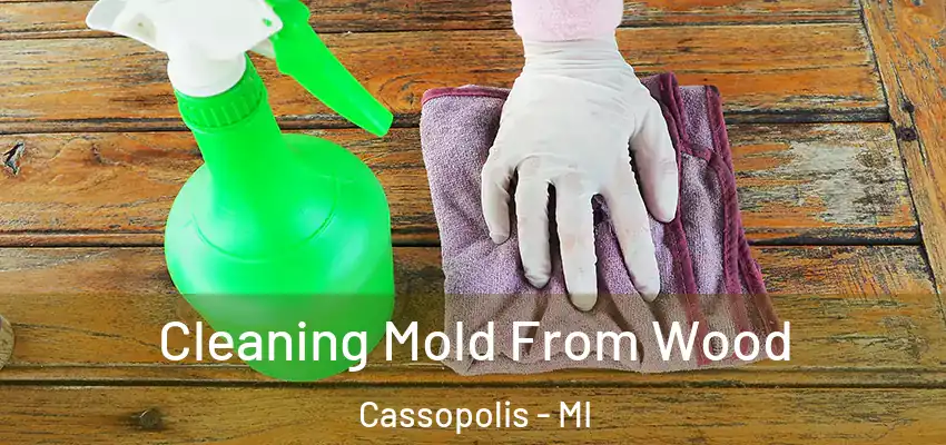  Cleaning Mold From Wood Cassopolis - MI