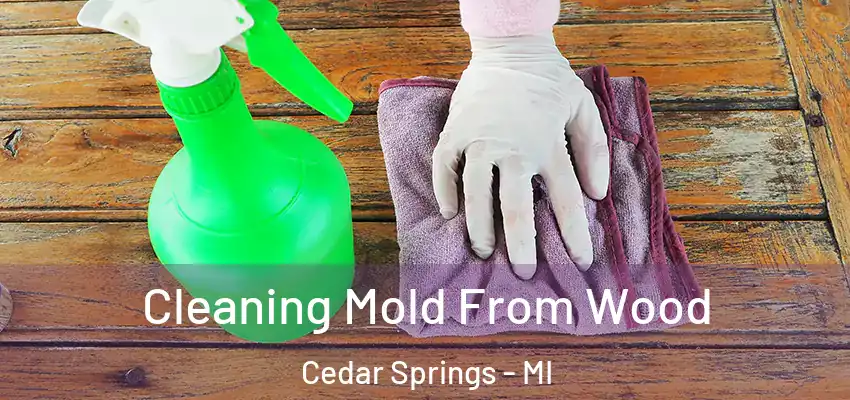  Cleaning Mold From Wood Cedar Springs - MI