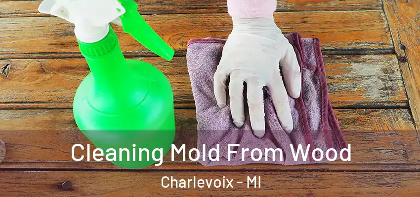  Cleaning Mold From Wood Charlevoix - MI