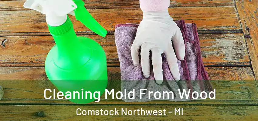  Cleaning Mold From Wood Comstock Northwest - MI