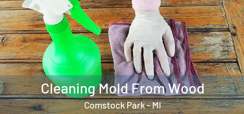  Cleaning Mold From Wood Comstock Park - MI