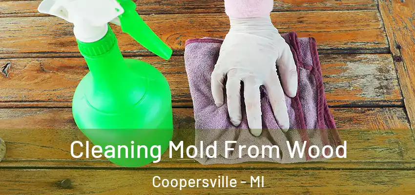  Cleaning Mold From Wood Coopersville - MI