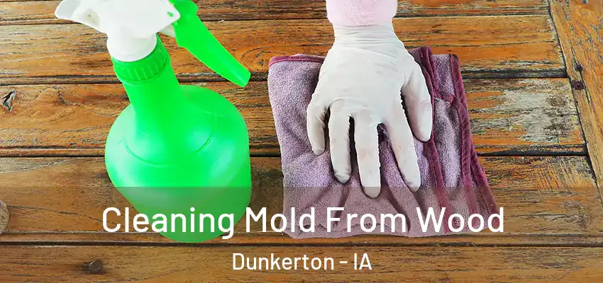  Cleaning Mold From Wood Dunkerton - IA