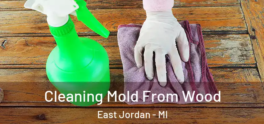  Cleaning Mold From Wood East Jordan - MI