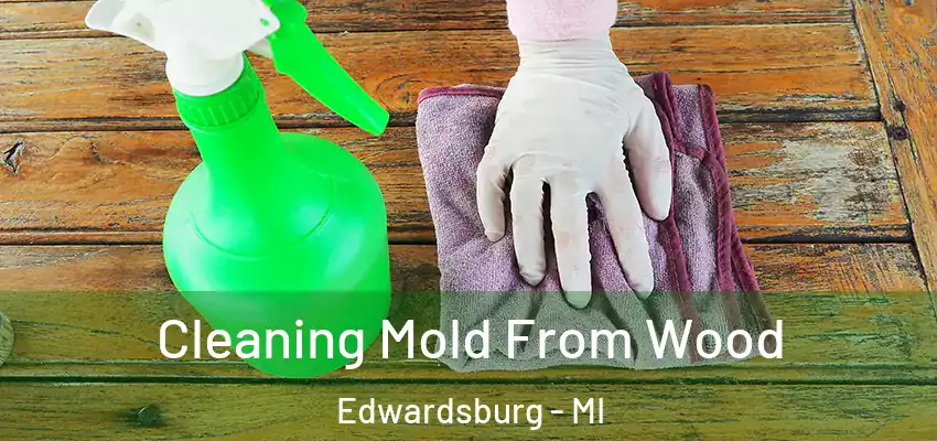  Cleaning Mold From Wood Edwardsburg - MI