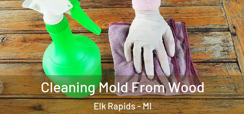 Cleaning Mold From Wood Elk Rapids - MI