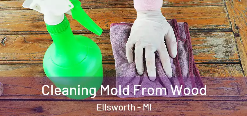 Cleaning Mold From Wood Ellsworth - MI