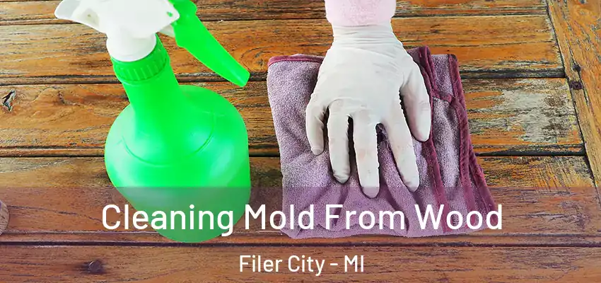  Cleaning Mold From Wood Filer City - MI