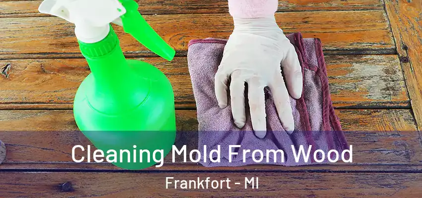  Cleaning Mold From Wood Frankfort - MI