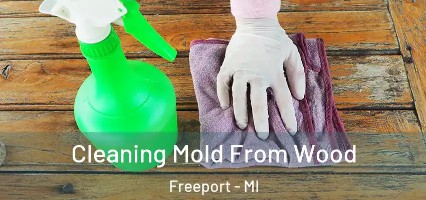  Cleaning Mold From Wood Freeport - MI