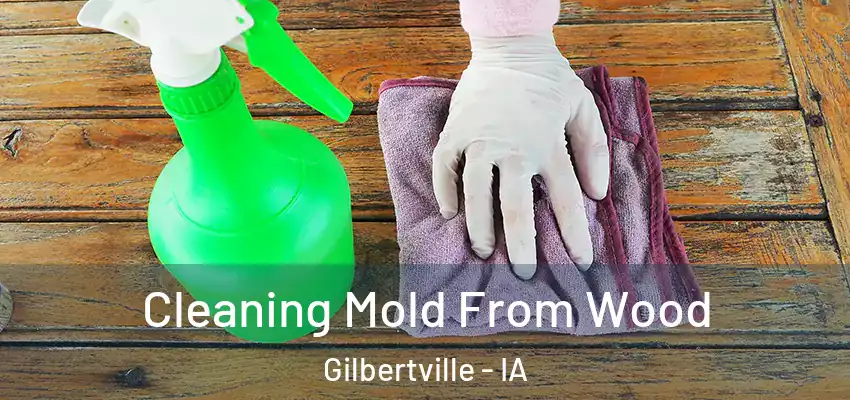  Cleaning Mold From Wood Gilbertville - IA