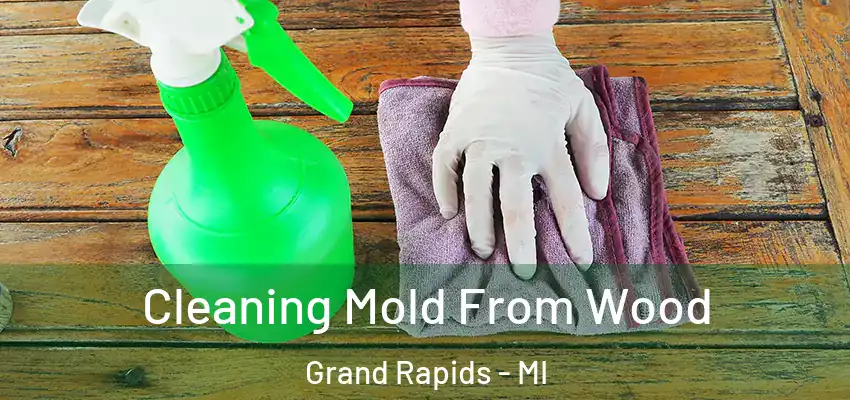  Cleaning Mold From Wood Grand Rapids - MI