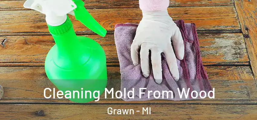 Cleaning Mold From Wood Grawn - MI