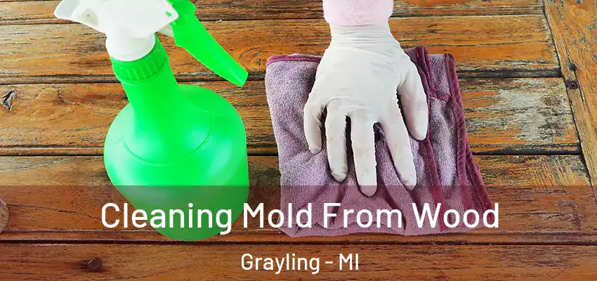  Cleaning Mold From Wood Grayling - MI