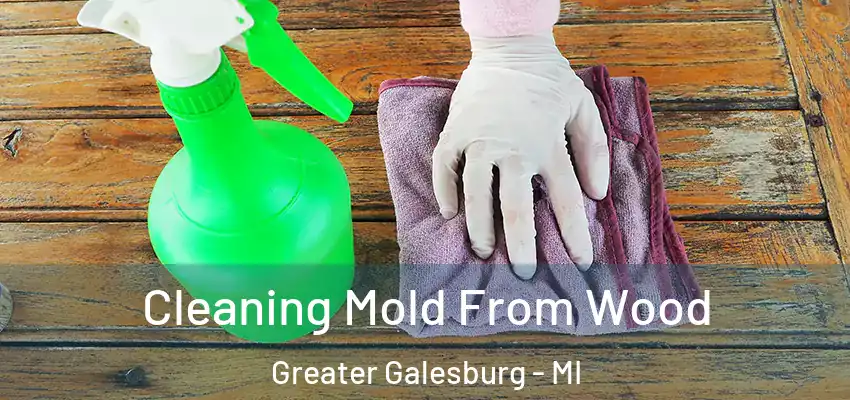  Cleaning Mold From Wood Greater Galesburg - MI