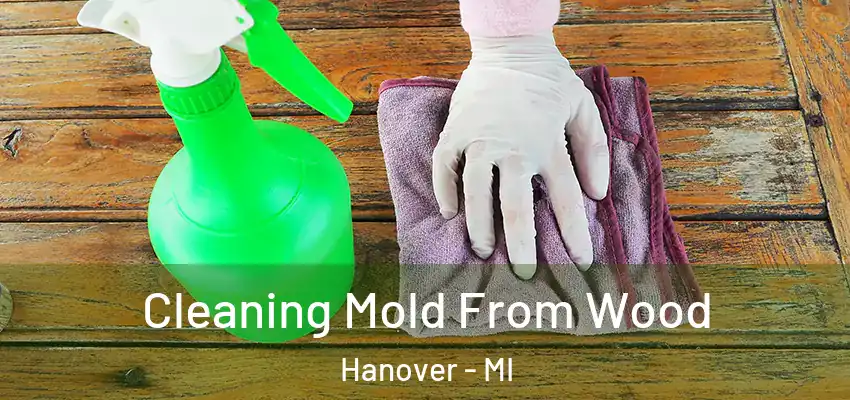 Cleaning Mold From Wood Hanover - MI