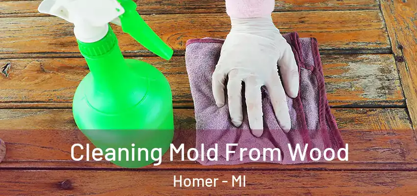 Cleaning Mold From Wood Homer - MI