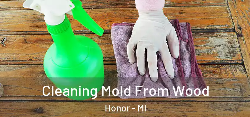  Cleaning Mold From Wood Honor - MI
