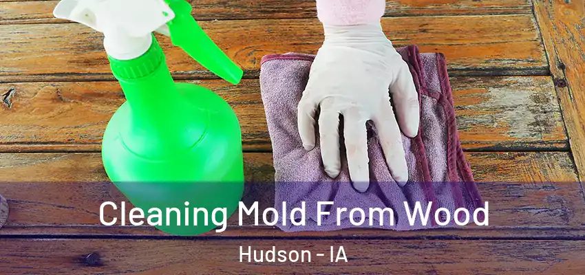  Cleaning Mold From Wood Hudson - IA