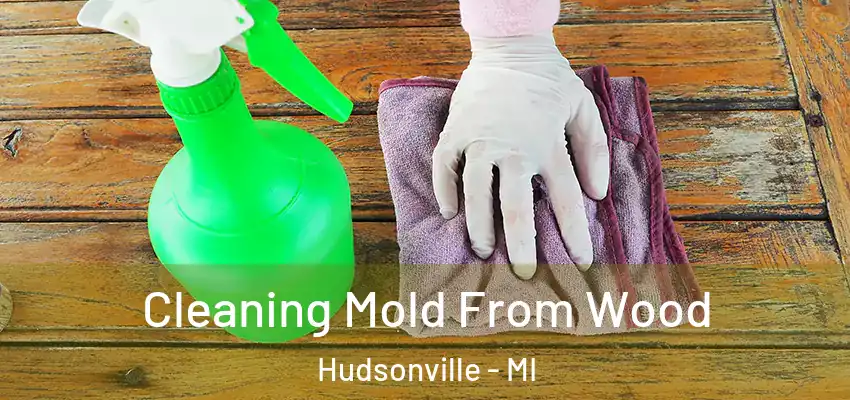 Cleaning Mold From Wood Hudsonville - MI