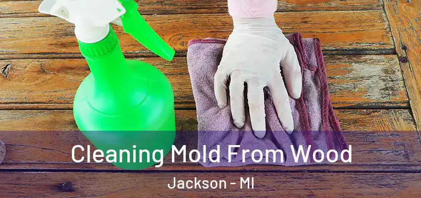 Cleaning Mold From Wood Jackson - MI