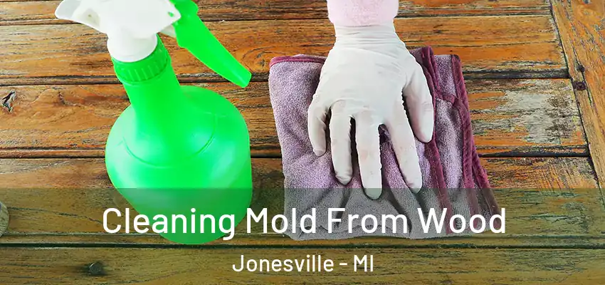 Cleaning Mold From Wood Jonesville - MI