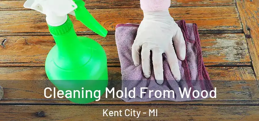 Cleaning Mold From Wood Kent City - MI