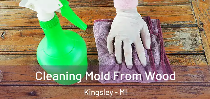  Cleaning Mold From Wood Kingsley - MI
