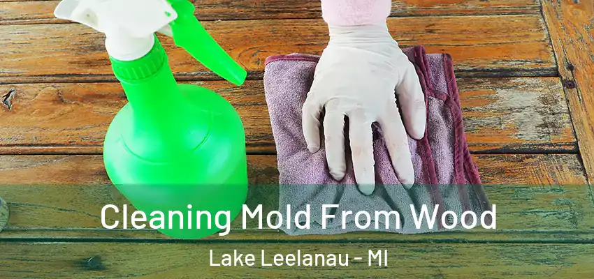  Cleaning Mold From Wood Lake Leelanau - MI