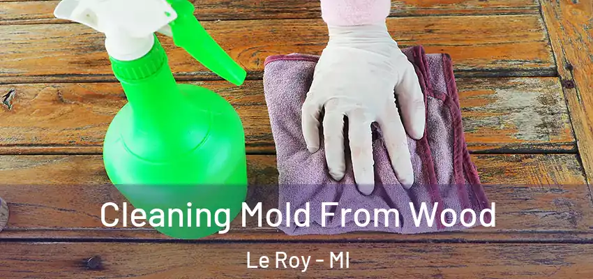  Cleaning Mold From Wood Le Roy - MI