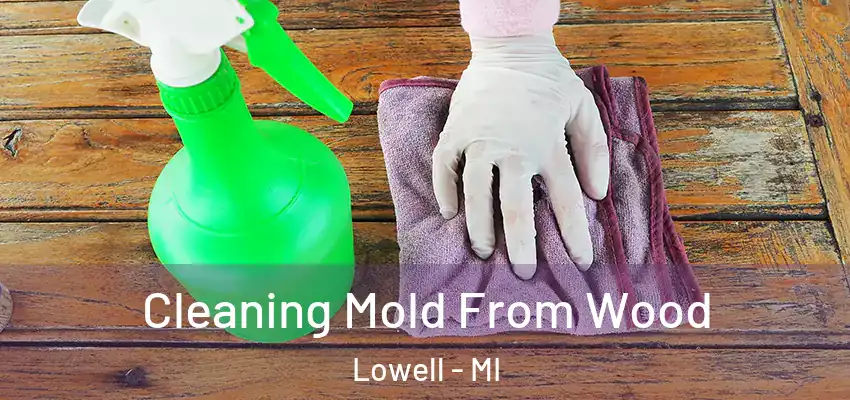  Cleaning Mold From Wood Lowell - MI