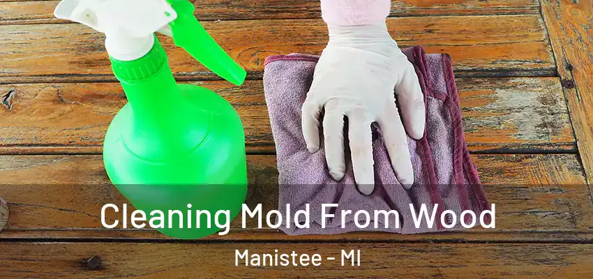  Cleaning Mold From Wood Manistee - MI