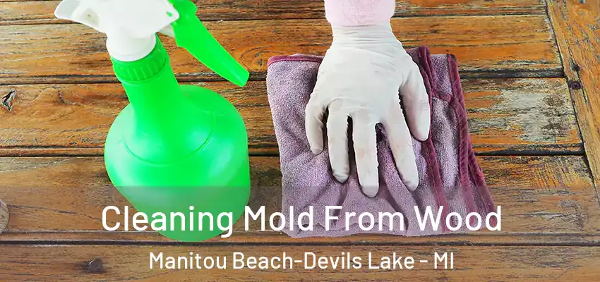 Cleaning Mold From Wood Manitou Beach-Devils Lake - MI