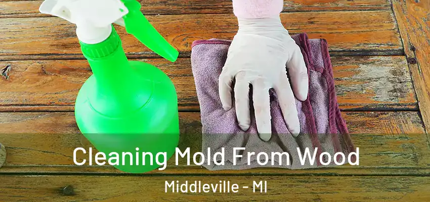  Cleaning Mold From Wood Middleville - MI