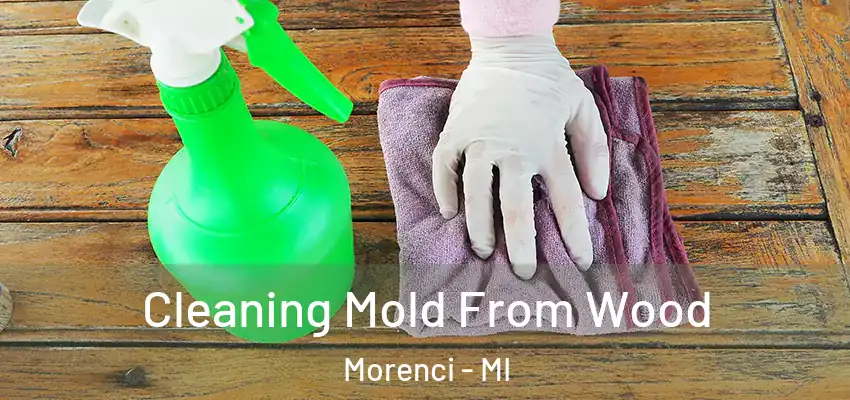 Cleaning Mold From Wood Morenci - MI