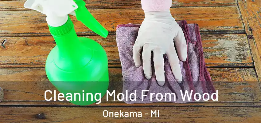  Cleaning Mold From Wood Onekama - MI
