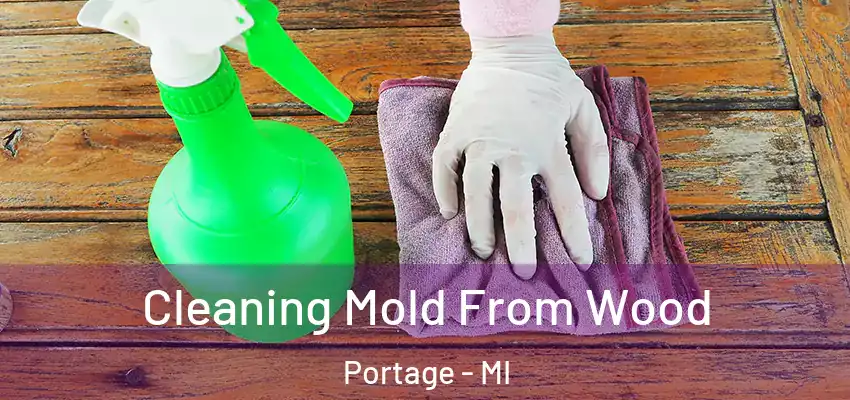  Cleaning Mold From Wood Portage - MI