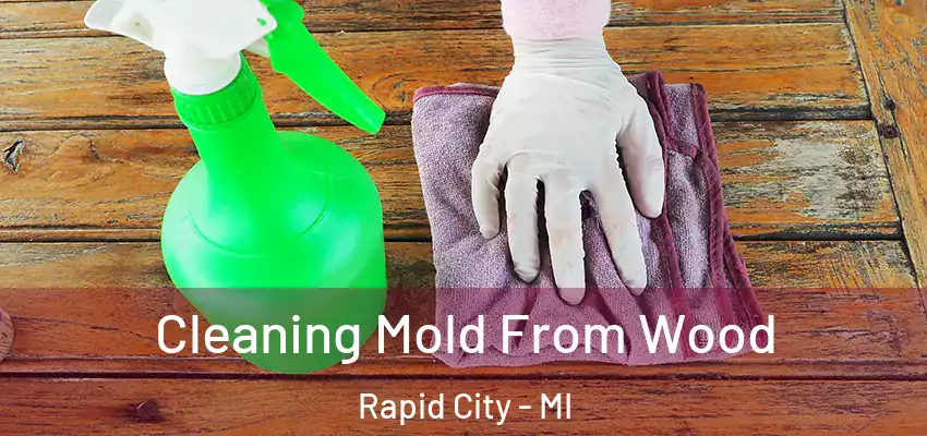  Cleaning Mold From Wood Rapid City - MI