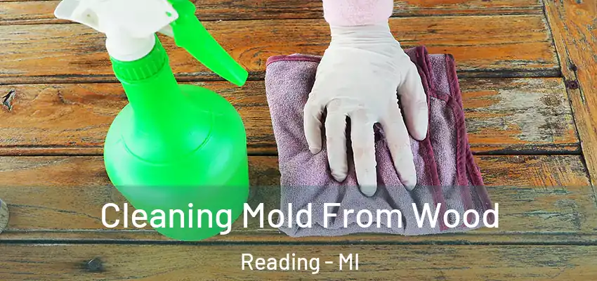  Cleaning Mold From Wood Reading - MI