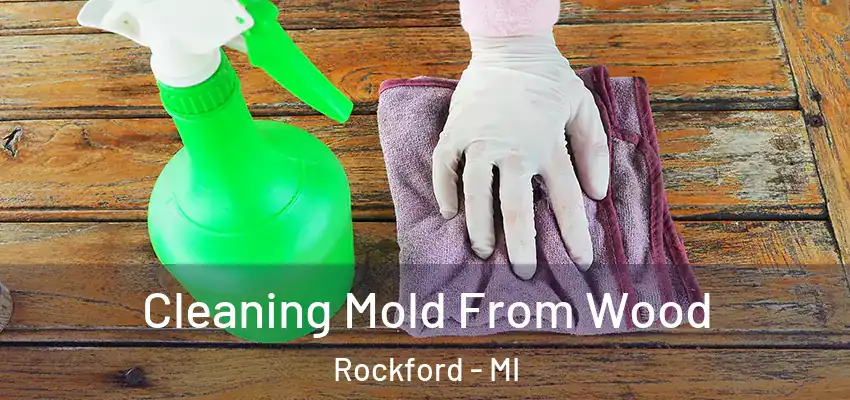  Cleaning Mold From Wood Rockford - MI