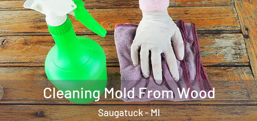  Cleaning Mold From Wood Saugatuck - MI