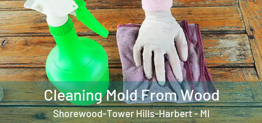  Cleaning Mold From Wood Shorewood-Tower Hills-Harbert - MI