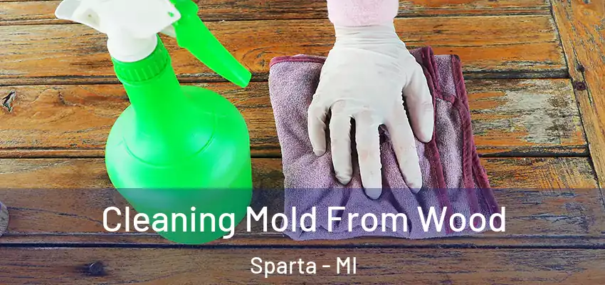  Cleaning Mold From Wood Sparta - MI