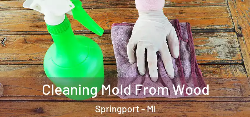 Cleaning Mold From Wood Springport - MI