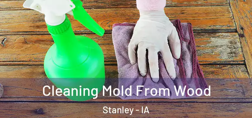  Cleaning Mold From Wood Stanley - IA