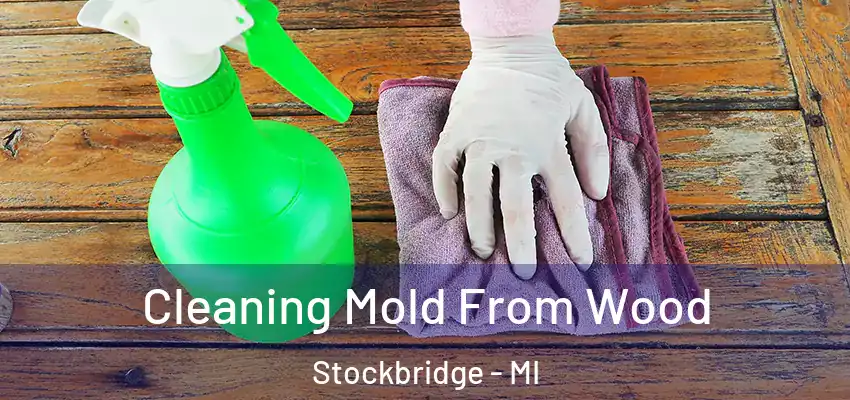 Cleaning Mold From Wood Stockbridge - MI