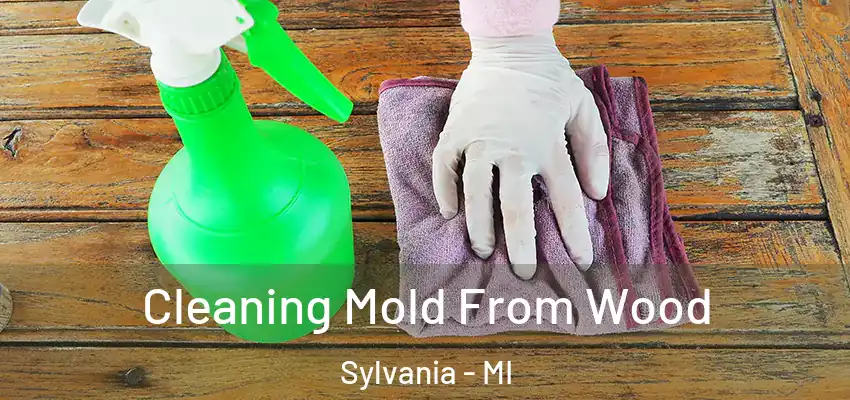  Cleaning Mold From Wood Sylvania - MI