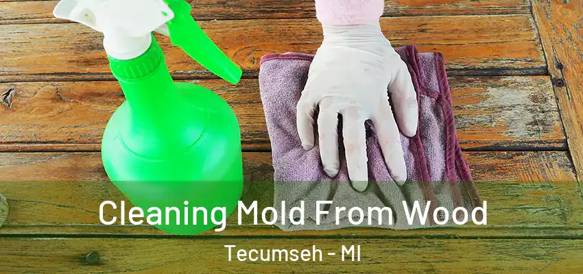  Cleaning Mold From Wood Tecumseh - MI