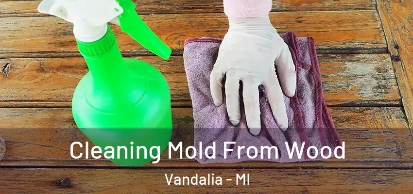  Cleaning Mold From Wood Vandalia - MI
