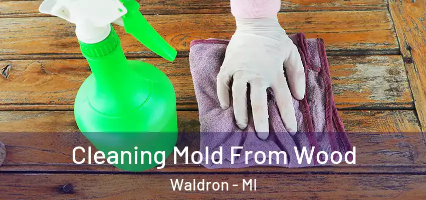  Cleaning Mold From Wood Waldron - MI